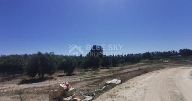 FOR SALE AGRICULTURE LAND IN ASOMATOS, LIMASSOL