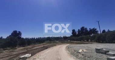 FOR SALE AGRICULTURE LAND IN ASOMATOS, LIMASSOL