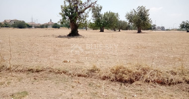 LARGE RESIDENTIAL LAND