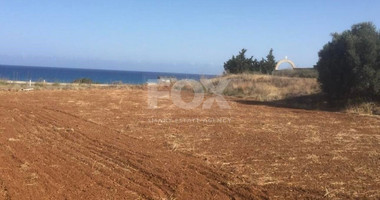 Seaside Property in Nea Dimmata,Paphos - 10374sqm