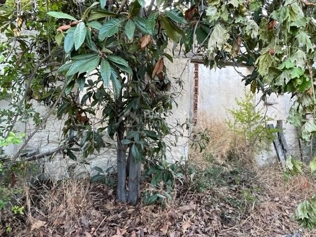 Traditional  stone built house
