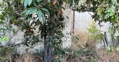 Traditional  stone built house