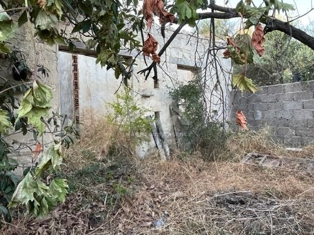 Traditional  stone built house