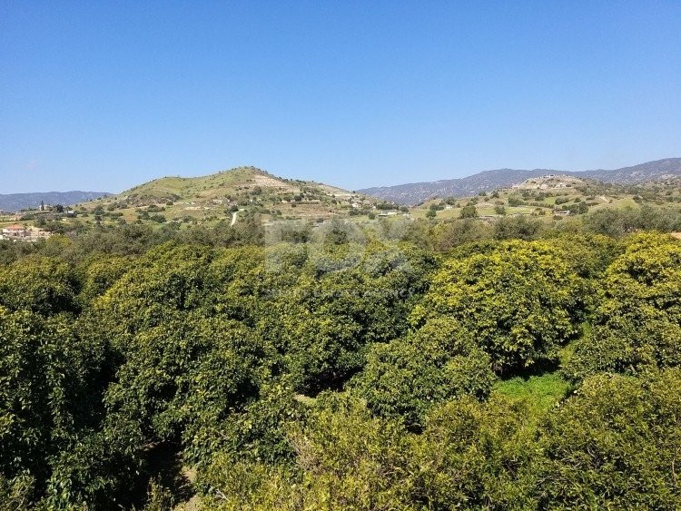 Exclusive Investment Opportunity in Moni, Limassol – A Green Oasis Awaits