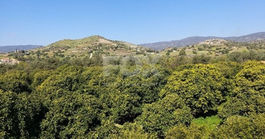 Exclusive Investment Opportunity in Moni, Limassol – A Green Oasis Awaits