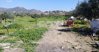 Exclusive Investment Opportunity in Moni, Limassol – A Green Oasis Awaits