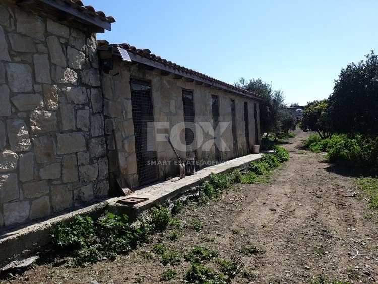 Exclusive Investment Opportunity in Moni, Limassol – A Green Oasis Awaits
