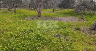 Exclusive Investment Opportunity in Moni, Limassol – A Green Oasis Awaits