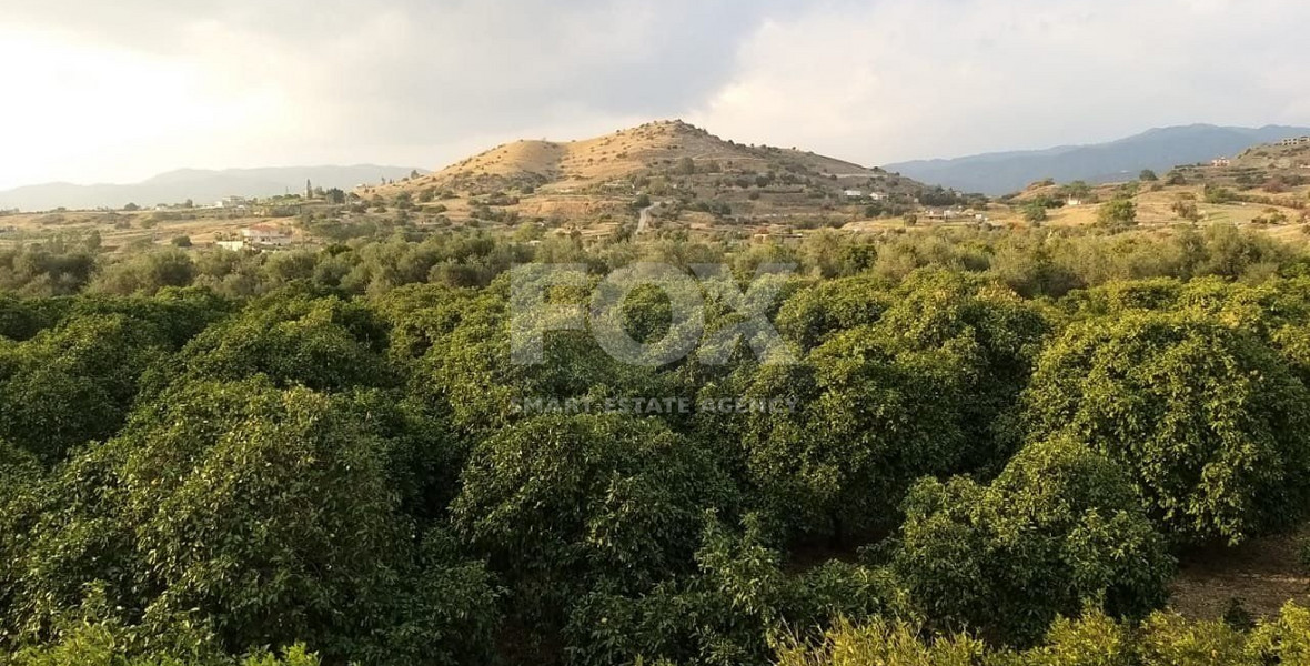 Exclusive Investment Opportunity in Moni, Limassol – A Green Oasis Awaits