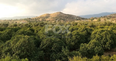 Exclusive Investment Opportunity in Moni, Limassol – A Green Oasis Awaits