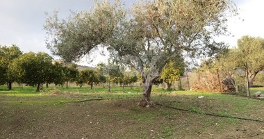 Exclusive Investment Opportunity in Moni, Limassol – A Green Oasis Awaits