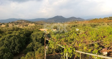 Exclusive Investment Opportunity in Moni, Limassol – A Green Oasis Awaits