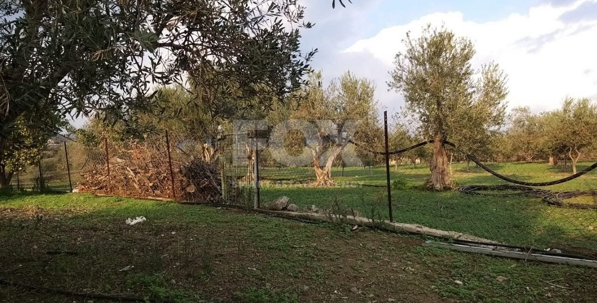 Exclusive Investment Opportunity in Moni, Limassol – A Green Oasis Awaits