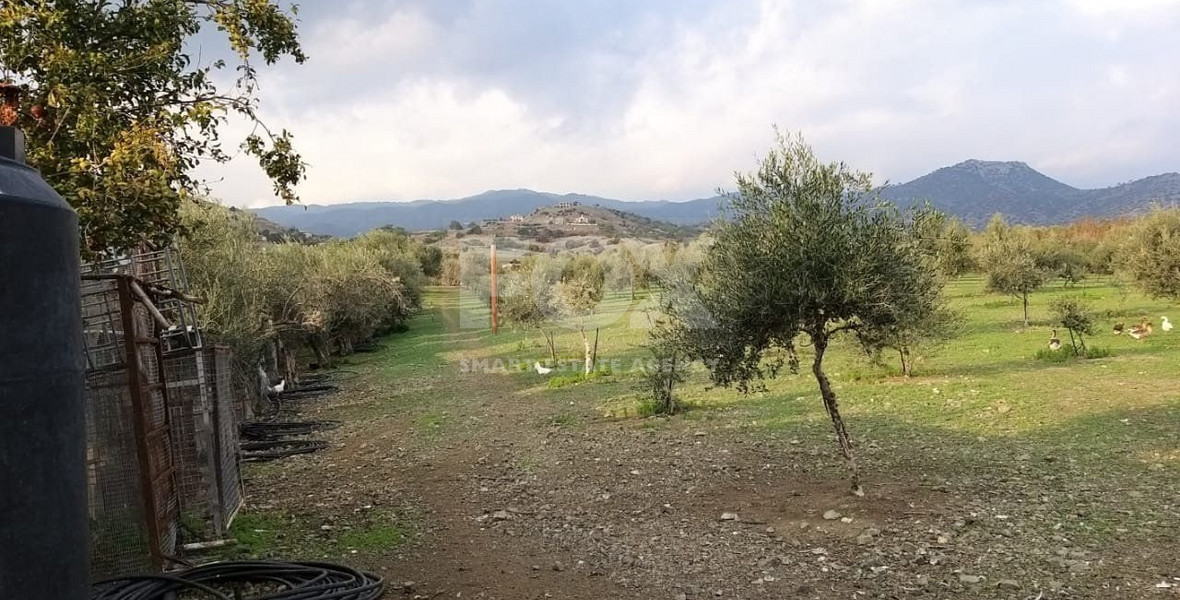 Exclusive Investment Opportunity in Moni, Limassol – A Green Oasis Awaits