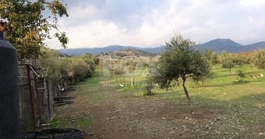 Exclusive Investment Opportunity in Moni, Limassol – A Green Oasis Awaits