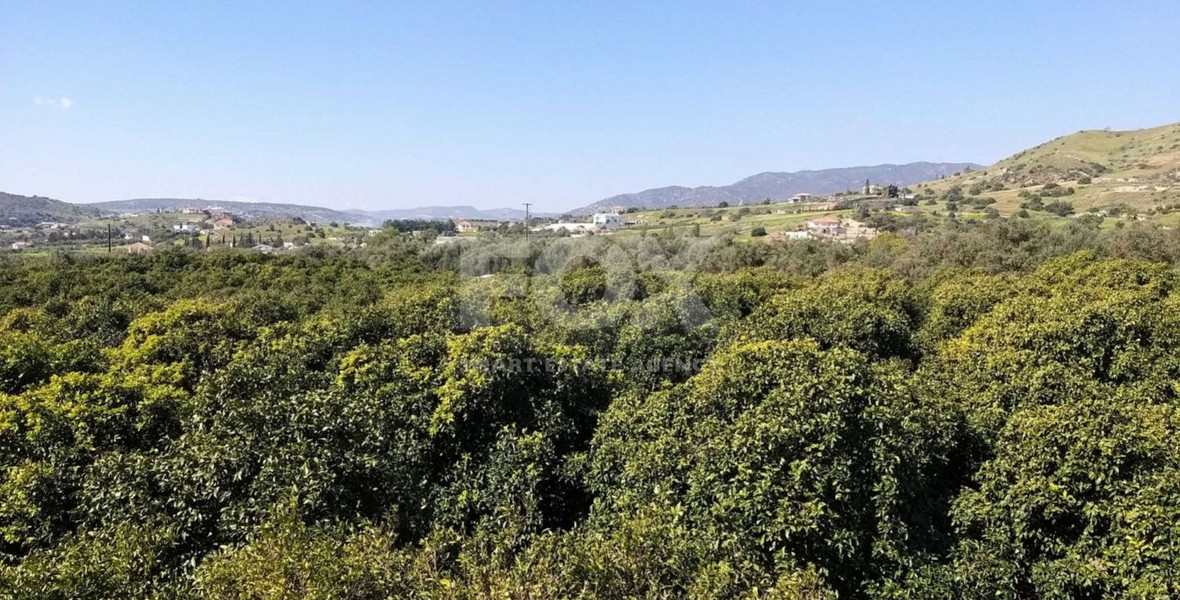 Exclusive Investment Opportunity in Moni, Limassol – A Green Oasis Awaits
