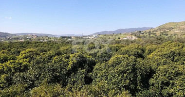 Exclusive Investment Opportunity in Moni, Limassol – A Green Oasis Awaits