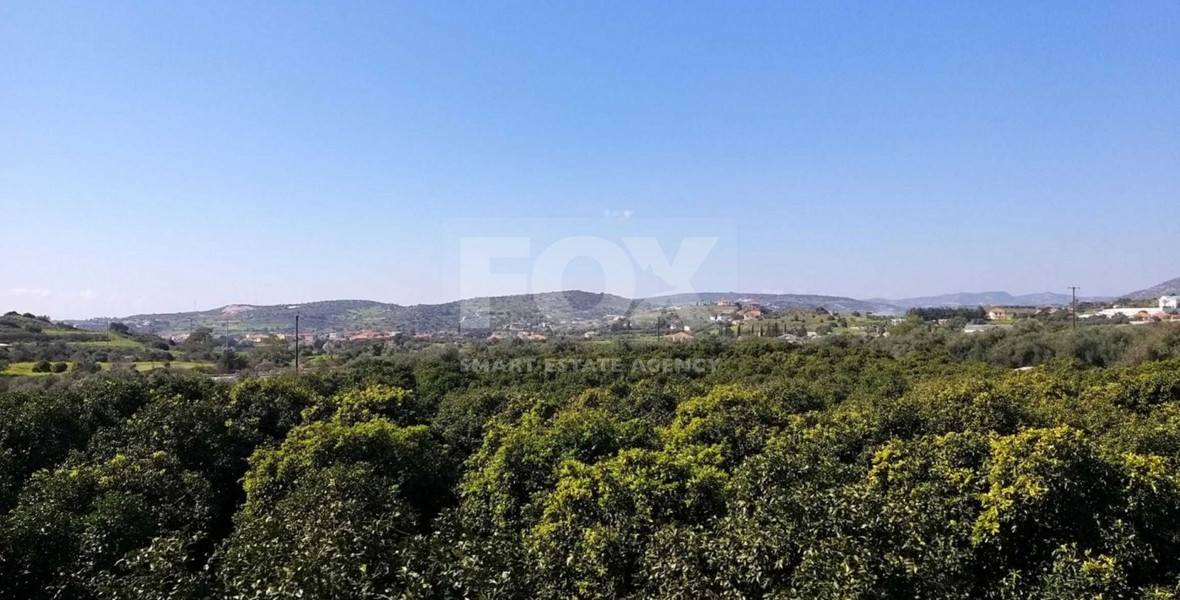 Exclusive Investment Opportunity in Moni, Limassol – A Green Oasis Awaits