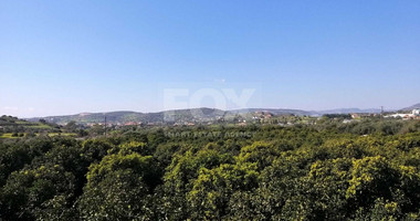 Exclusive Investment Opportunity in Moni, Limassol – A Green Oasis Awaits