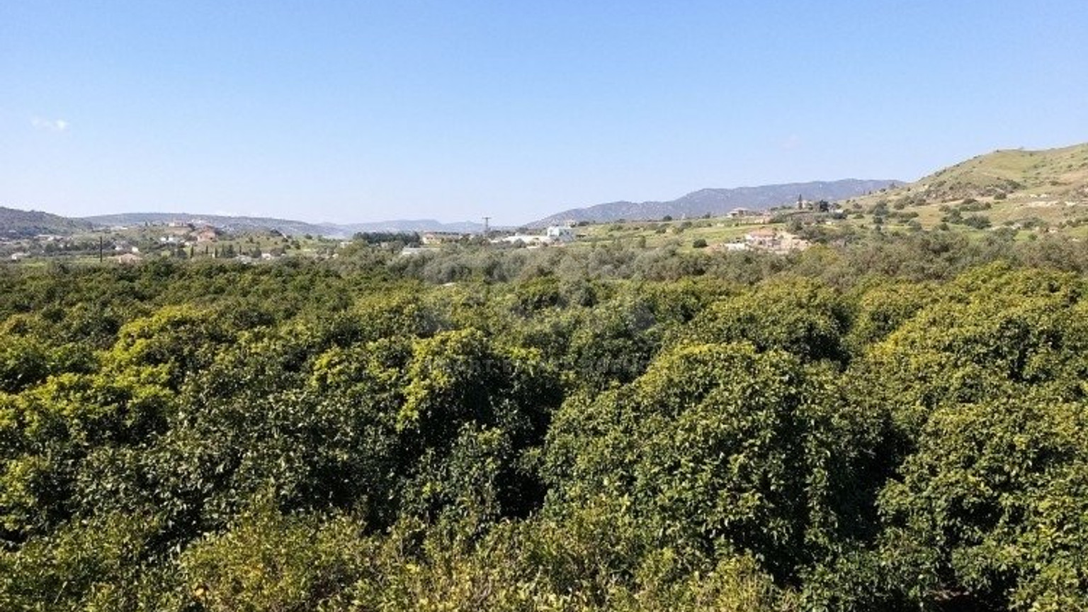 51,088 sq.m. Farm for Sale in Moni Limassol | Prime Agricultural & Villa Land