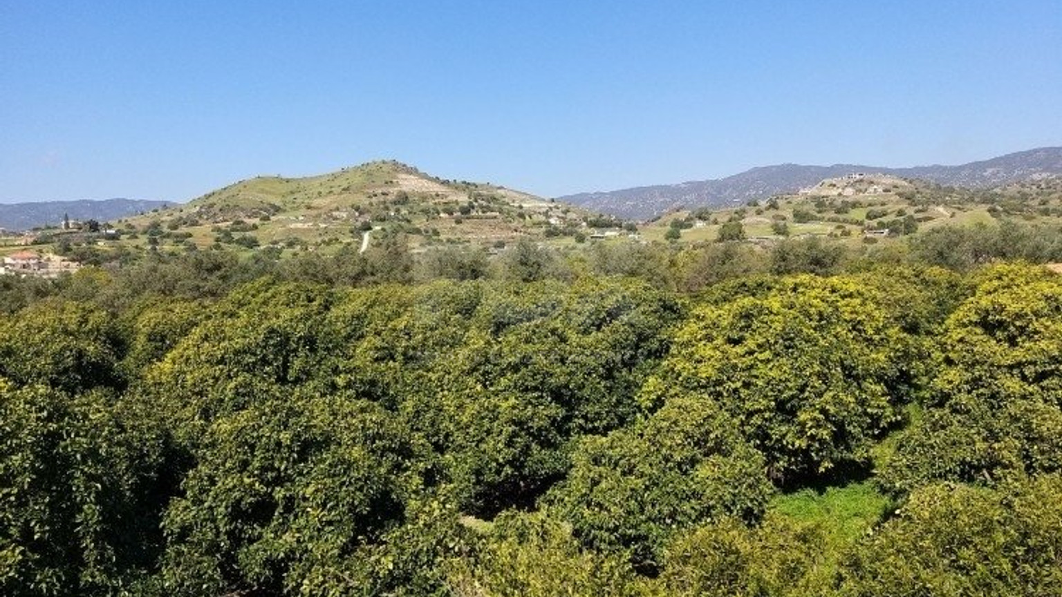 51,088 sq.m. Farm for Sale in Moni Limassol | Prime Agricultural & Villa Land