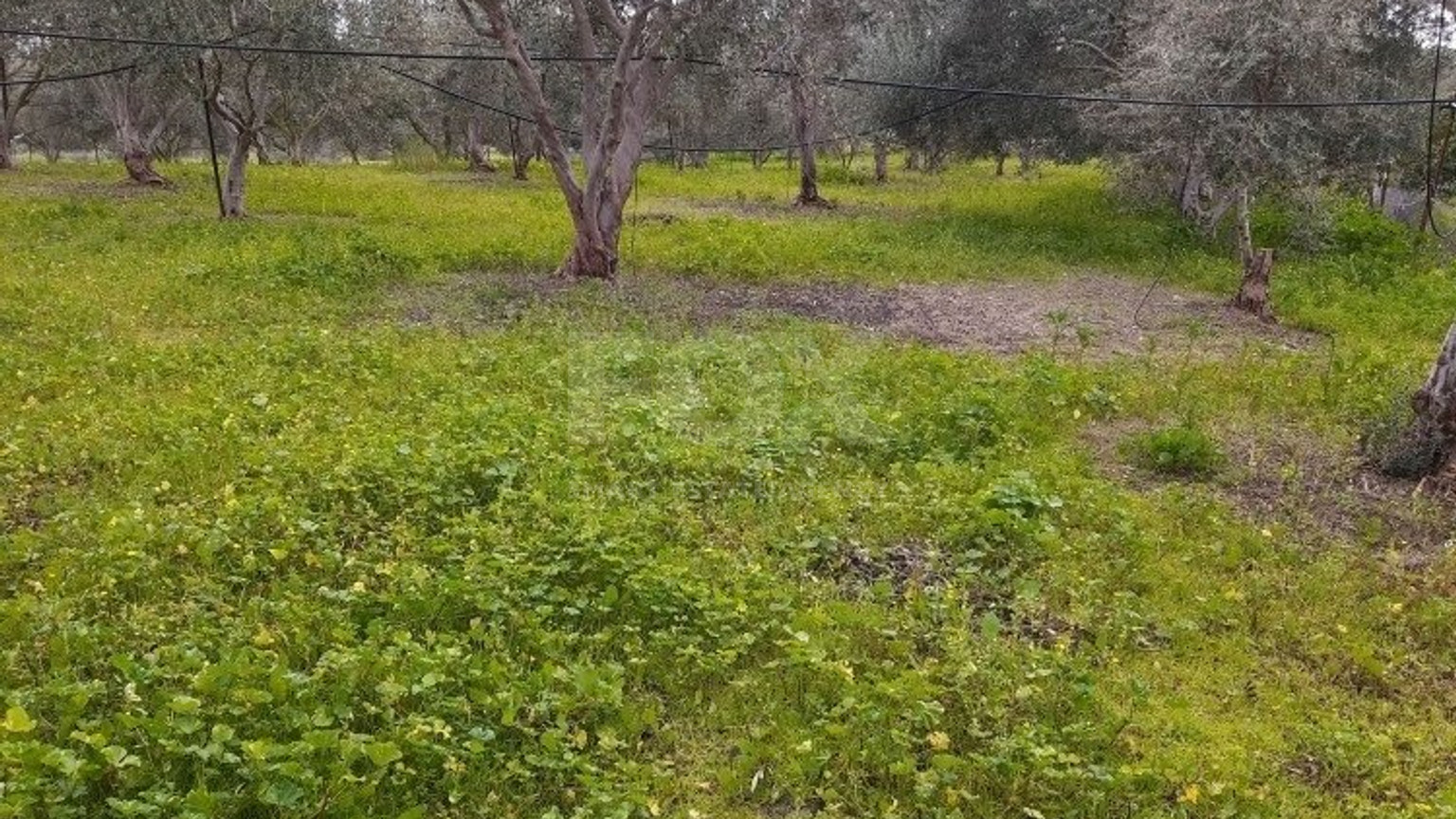 51,088 sq.m. Farm for Sale in Moni Limassol | Prime Agricultural & Villa Land