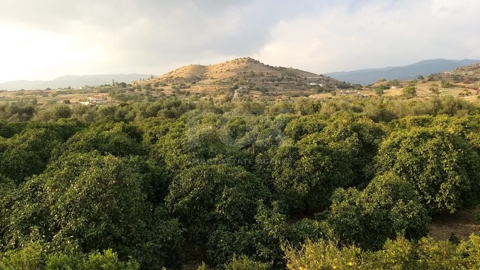 51,088 sq.m. Farm for Sale in Moni Limassol | Prime Agricultural & Villa Land