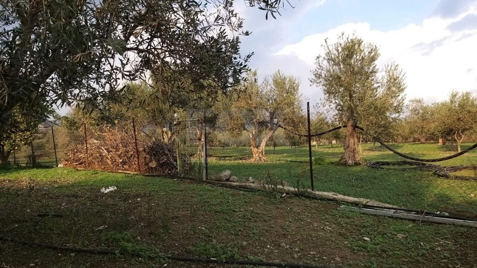 51,088 sq.m. Farm for Sale in Moni Limassol | Prime Agricultural & Villa Land
