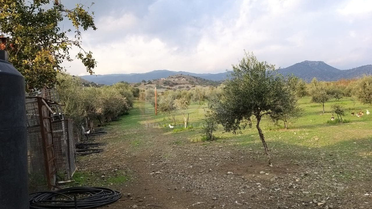 51,088 sq.m. Farm for Sale in Moni Limassol | Prime Agricultural & Villa Land
