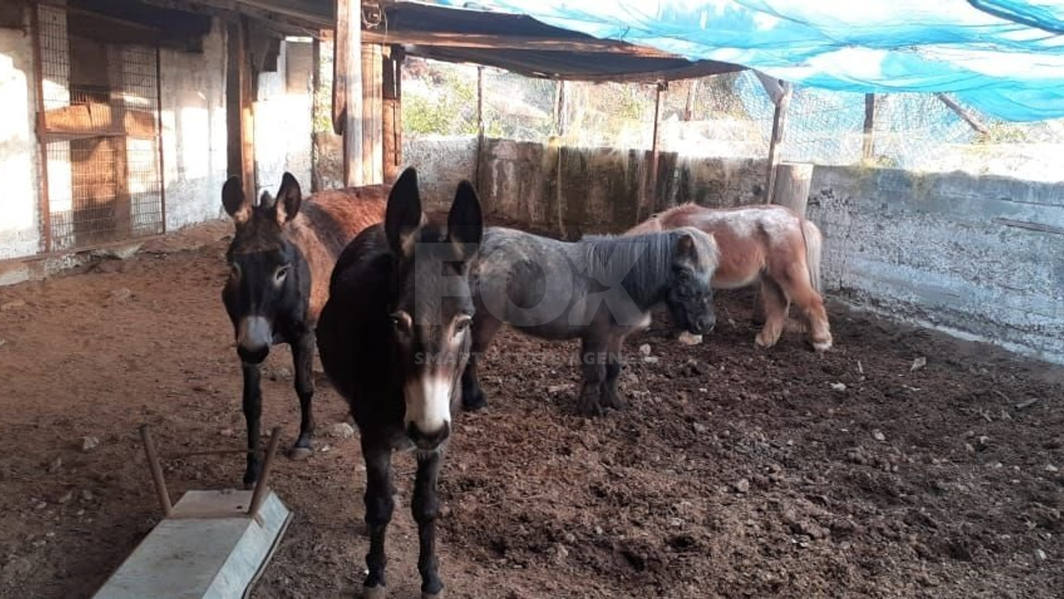 51,088 sq.m. Farm for Sale in Moni Limassol | Prime Agricultural & Villa Land
