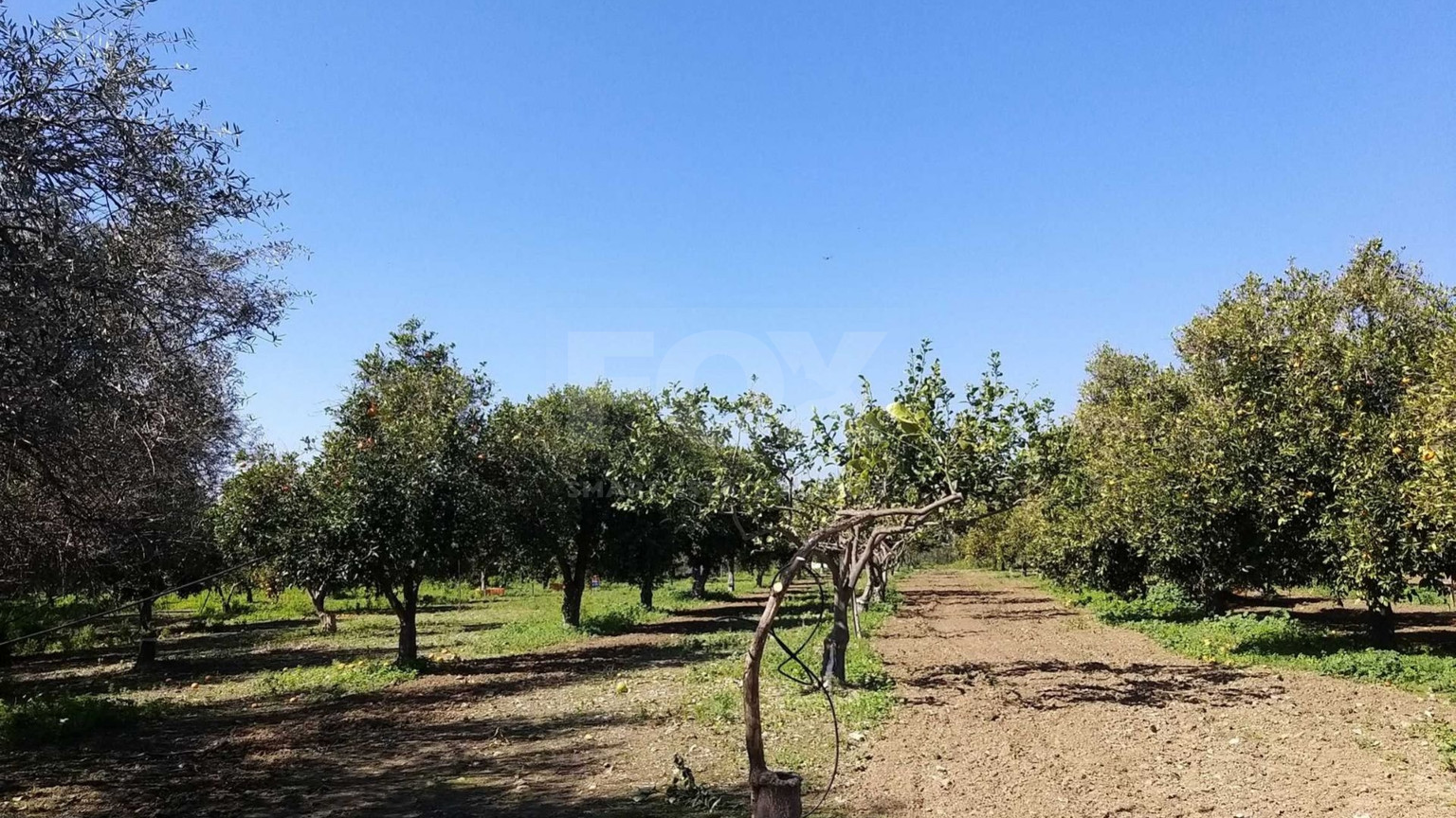 51,088 sq.m. Farm for Sale in Moni Limassol | Prime Agricultural & Villa Land