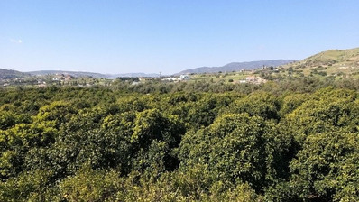 51,088 sq.m. Farm for Sale in Moni Limassol | Prime Agricultural & Villa Land