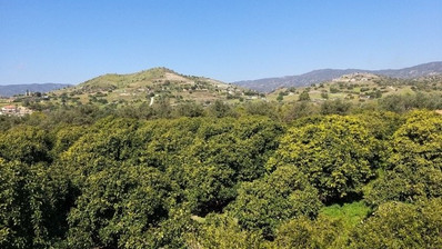 51,088 sq.m. Farm for Sale in Moni Limassol | Prime Agricultural & Villa Land