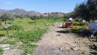 51,088 sq.m. Farm for Sale in Moni Limassol | Prime Agricultural & Villa Land