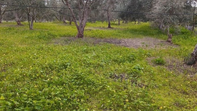 51,088 sq.m. Farm for Sale in Moni Limassol | Prime Agricultural & Villa Land