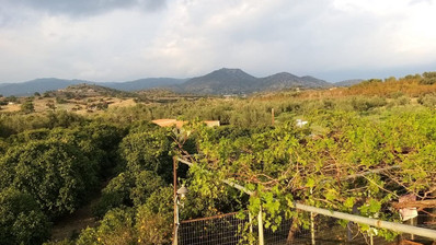 51,088 sq.m. Farm for Sale in Moni Limassol | Prime Agricultural & Villa Land