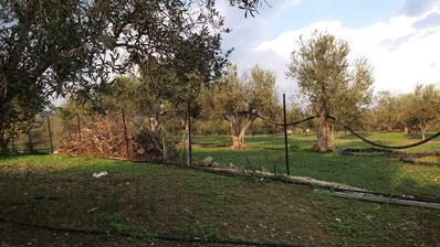 51,088 sq.m. Farm for Sale in Moni Limassol | Prime Agricultural & Villa Land