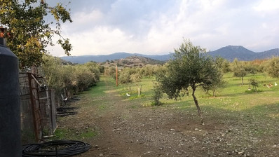 51,088 sq.m. Farm for Sale in Moni Limassol | Prime Agricultural & Villa Land