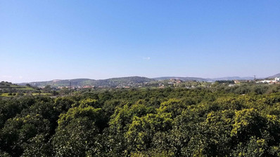 51,088 sq.m. Farm for Sale in Moni Limassol | Prime Agricultural & Villa Land