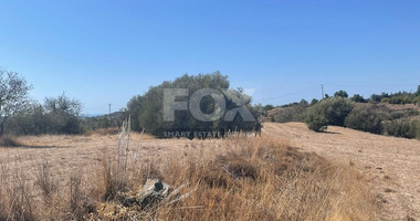 Land for sale in Pareklissia