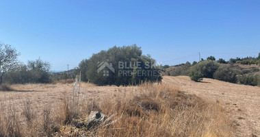 Land for sale in Pareklissia