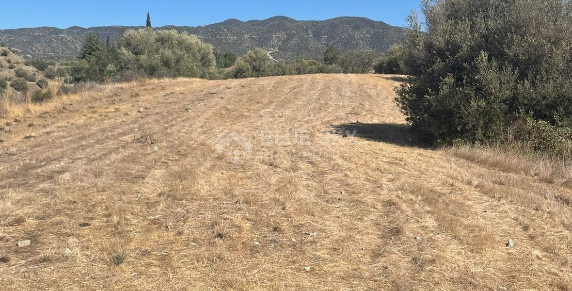 Land for sale in Pareklissia