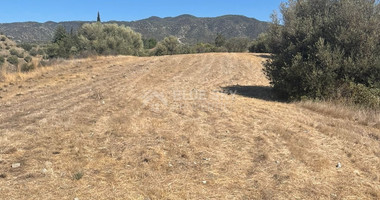 Land for sale in Pareklissia