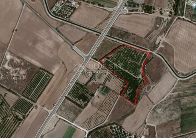 Large Field in Geroskipou Area