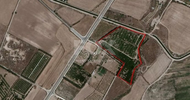 Large Field in Geroskipou Area