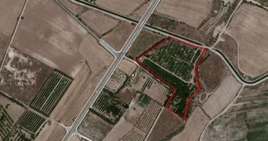 Large Field in Geroskipou Area