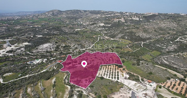 Massive Agricultural land in Mesogi, Paphos