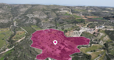 Massive Agricultural land in Mesogi, Paphos