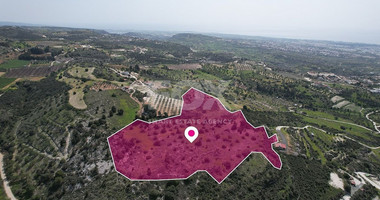 Massive Agricultural land in Mesogi, Paphos