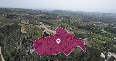 Massive Agricultural land in Mesogi, Paphos